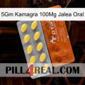 5Gm Kamagra 100Mg Oral Jelly 42